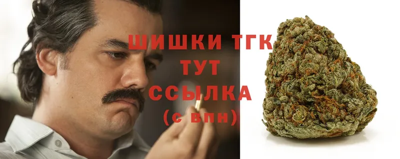 Конопля SATIVA & INDICA  Горбатов 